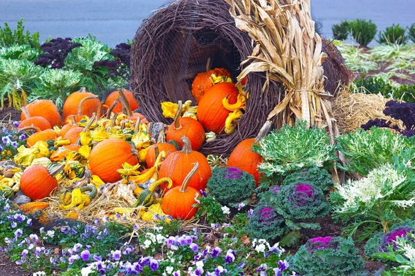 Herfst decor met pumpkins. — Stockfoto