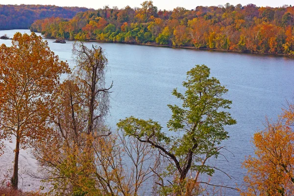 Річки Потомак з дерева восени кольори у Вашингтоні, округ Колумбія, США. — стокове фото