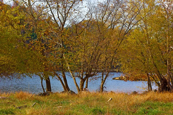 Árboles en colores otoñales cerca del río Potomac en el Parque Nacional Histórico del Canal . — Foto de Stock