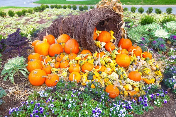 Kleuren van herfst en Halloween met pompoenen. — Stockfoto