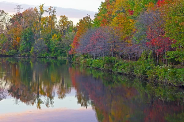 Ağaçlar ve çevresinde Falls Church, Virginia, ABD'deki bir şehir gölet yansımaları.