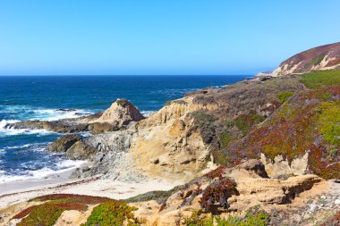 Bodega Bay'e Bodega kafa promontory.