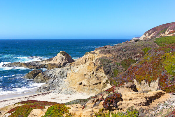 The Bodega Head promontory of Bodega Bay.