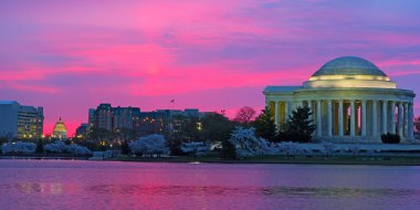 Deprem Havzası Washington Dc, ABD'deki kiraz çiçeği sırasında üzerinde gündoğumu.
