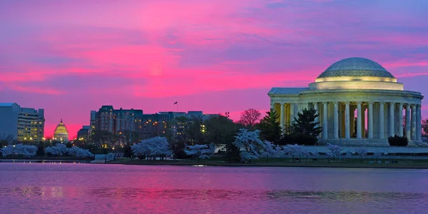 Sunrise over Tidal Basin during cherry blossom in Washington DC, USA. — Stock Photo, Image