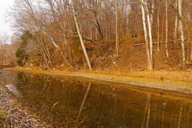 Büyük Sonbahar Park Maryland, ABD kanal boyunca ağaçlar.