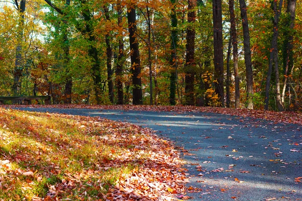 Solig eftermiddag på en väg i höst park. — Stockfoto