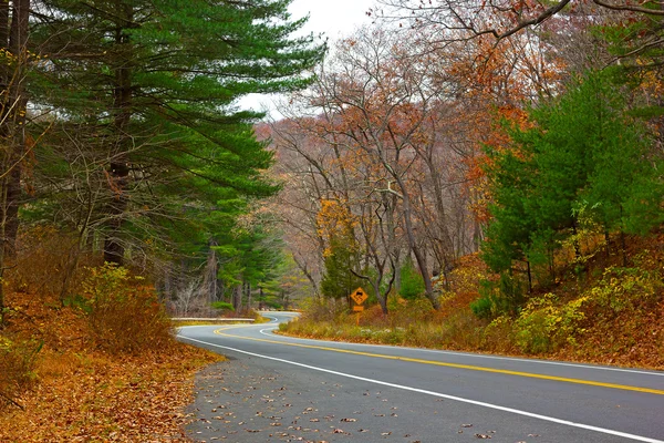 Camino sinuoso en el bosque con una señal de tráfico . —  Fotos de Stock