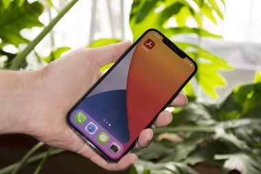 Apple iPhone 12 Pro Max, yeşil arka plan üst görünümü. Apple cep telefonlarının son modeli.