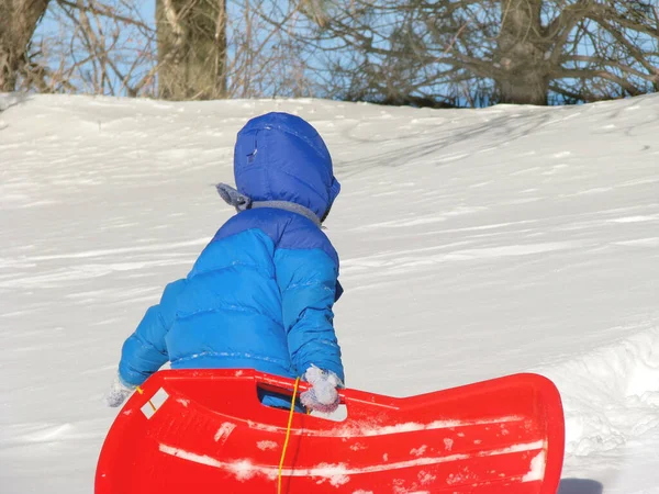 Çocuk oynuyor, soğuk bir kış gününde kızakla karlı bir tepe boyunca yürüyor. Aile için açık hava eğlencesi. Kış etkinliği.