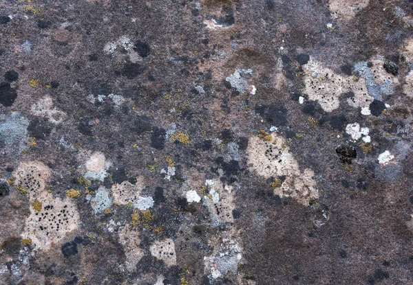 Moldy rock texture. Stone texture and background. Formations of rocks. — Stock Photo, Image