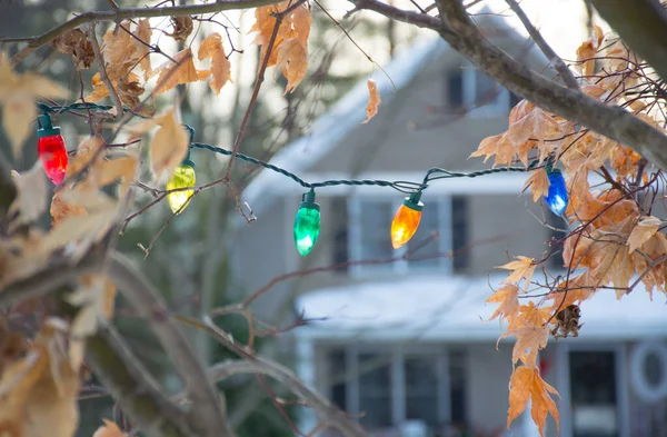 Kerstverlichting op de boom met besneeuwd huis op achtergrond. — Stockfoto