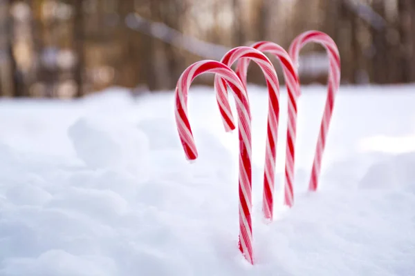 Bastoncini di caramelle alla menta piperita di Natale con sfondo nevicata. Spazio per testo — Foto Stock