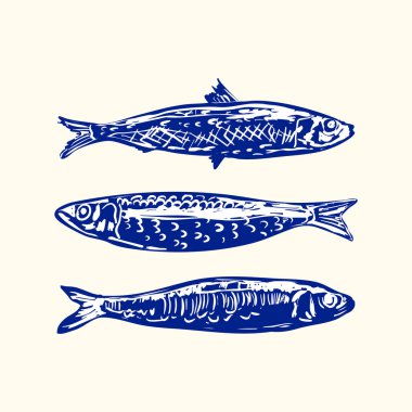 Garip sardalya karalama çizimi seti. El yapımı balıklar klasik tarzında. Deniz ürünleri ambalajı, restoran menüleri, balıkçılık temalı tasarımlar, aşçılık markaları ve sahil sanat koleksiyonları için ideal..
