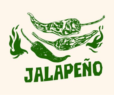 Alevli kırmızı biberli biberin ayrıntılı bir çizimi. Yemek paketleri, salsa tarifleri, restoran markaları, baharatlı abur cubur etiketleri, yemek baskıları, sıcak tat kavramları ve mutfak sanatları için mükemmel..