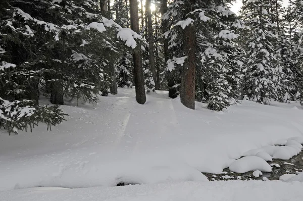 Invierno montaña corriente — Foto de Stock