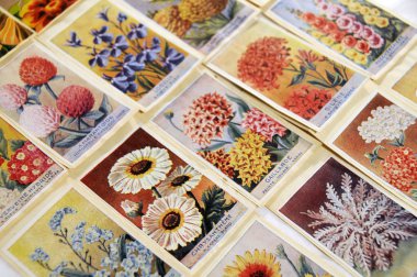 Tohum paketleri-flowers2