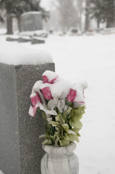 Snow flowers1 — Stockfoto