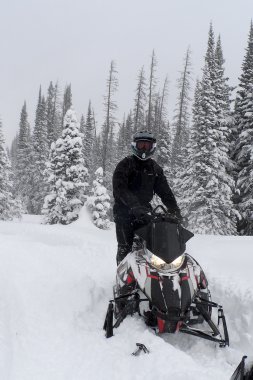 Adam Snowmachine, kızak