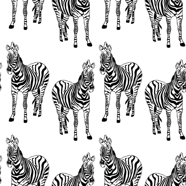 Abstrato pintado à mão fundo animal sem costura. Zebra listrada — Vetor de Stock