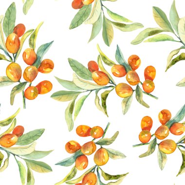 Suluboya zeytin dalı seamless modeli. Vektör.