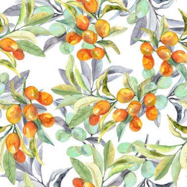 Suluboya zeytin dalı seamless modeli. Vektör.