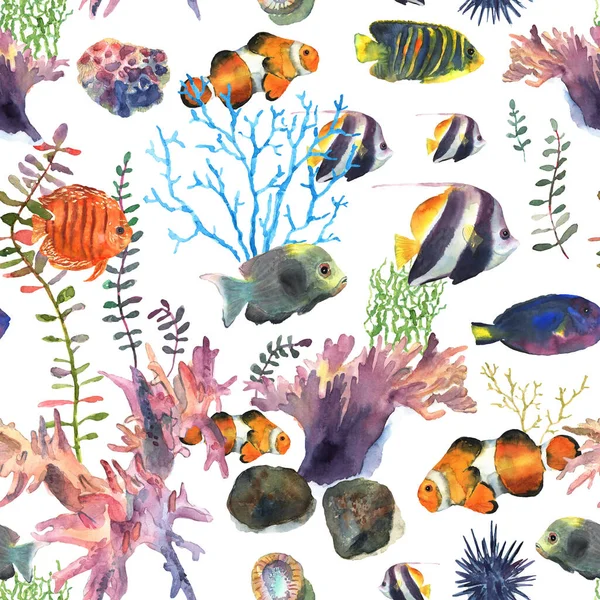 만화 영화에서는 장식 디자인을 위해 수채화를 그리는 마법없는 바닷가재 무늬가 있다. 화려 한 세트. 해저 세계 — 스톡 사진