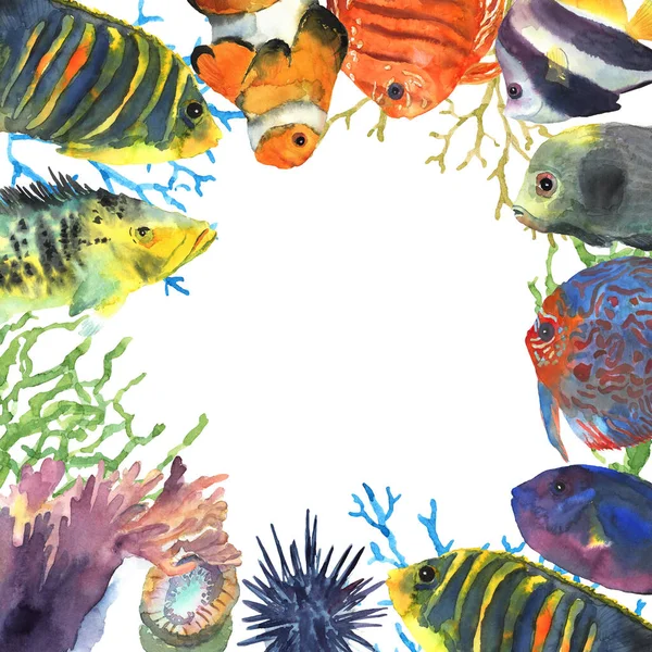 장식 디자인을 위해 수채 색으로 그린 다채 로운 열 대의 열대어 안경테. 수중 세계. 웹 사이트 아이콘 기호 — 스톡 사진