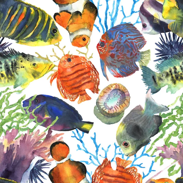 장식 디자인을 위해 수채 색으로 그린 다채 로운 열대어의 바다없는 무늬. 수중 세계. 웹 사이트 아이콘 기호 — 스톡 사진