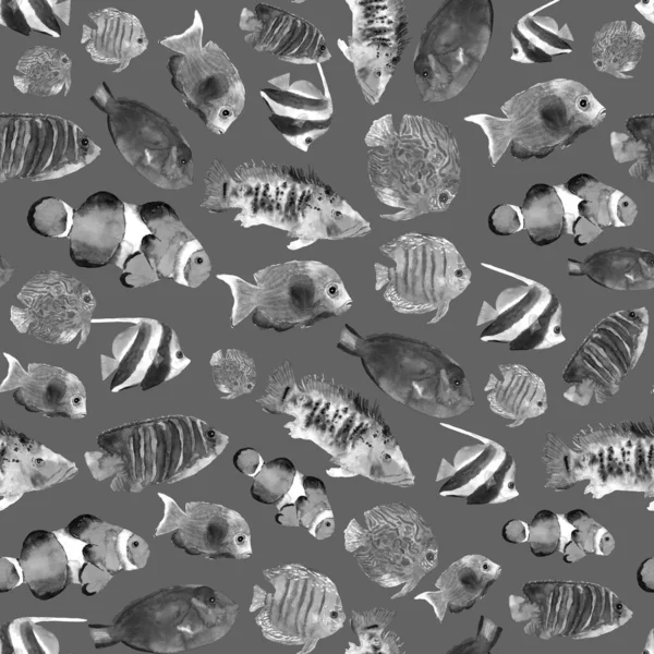 단색의 독특 한 열대어의 바다없는 무늬는 장식 디자인을 위해 수채 색으로 그린 것이다. 수중 세계. 회색 무늬. — 스톡 사진