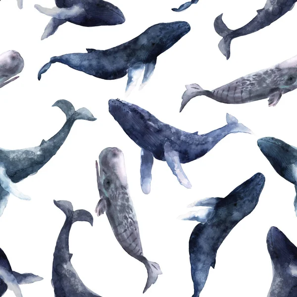 Modèle sans couture avec des baleines bleues de différentes races en aquarelle. La vie marine des mers et des océans. Animaux dessinés à la main — Photo