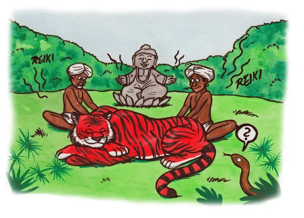 Reiki kaplan Hindistan (2007)