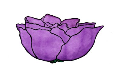 Menekşe gül (2007)