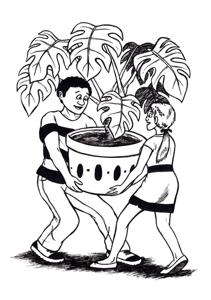 Bitki (2008 taşıyıcı)