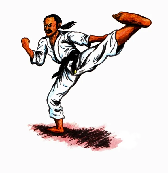 Karate tekme (2010)