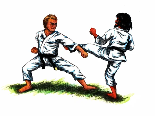 Karate vechten Ii (2010) — Stockfoto