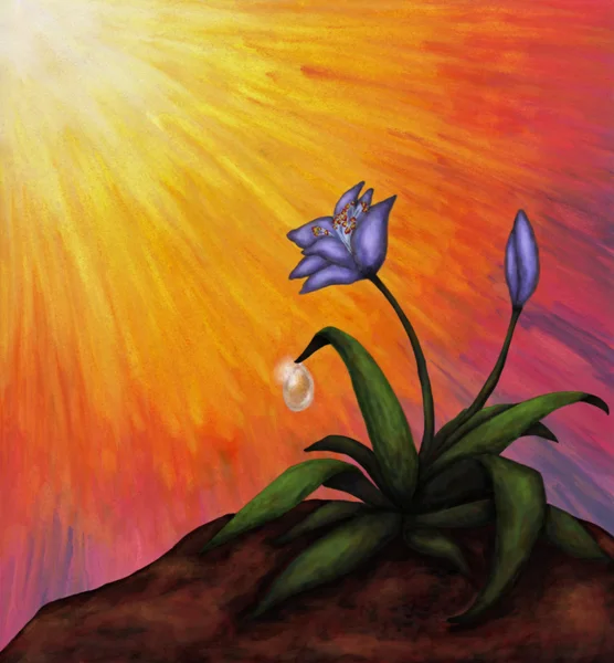 Işık çiçek (2012)