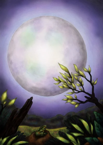 Şaşırtıcı Moon (2013)