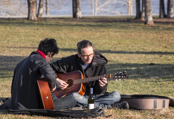 Gitarrespielen im Park Stockbild