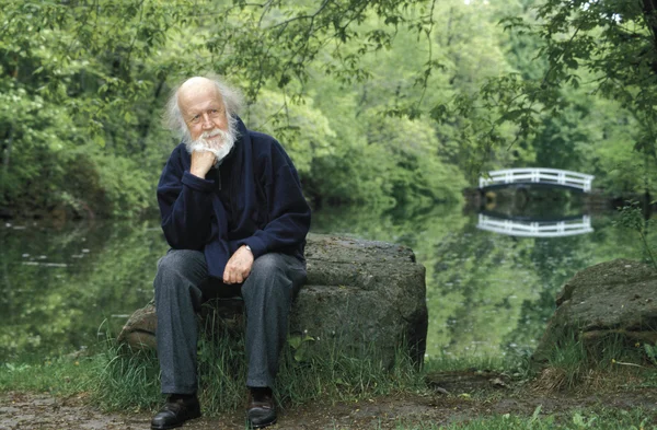 Hubert Reeves