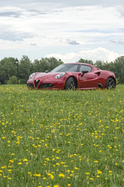 Kırmızı alfa romeo 4c 2015