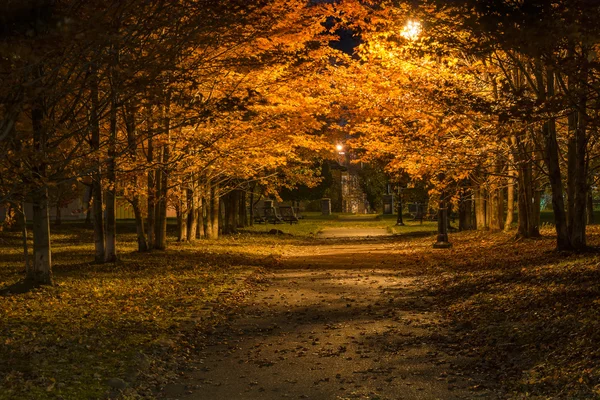 Gece sokakta