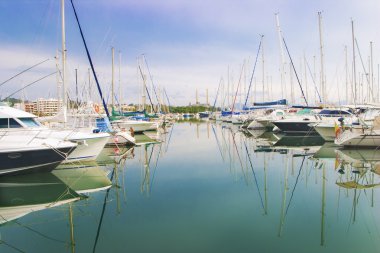 Beyaz tekneler ve yatlar iskelenin içinde