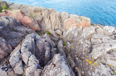 Norveç'te kayalık sahil deniz kenarında