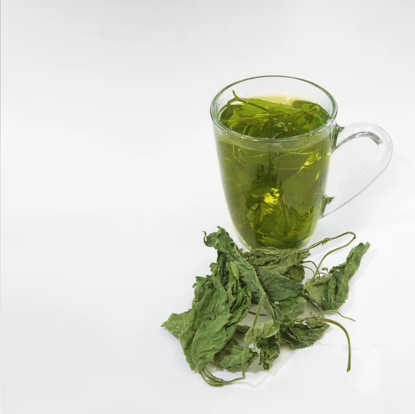 乾燥イラクサ茶と茶ガラス — ストック写真