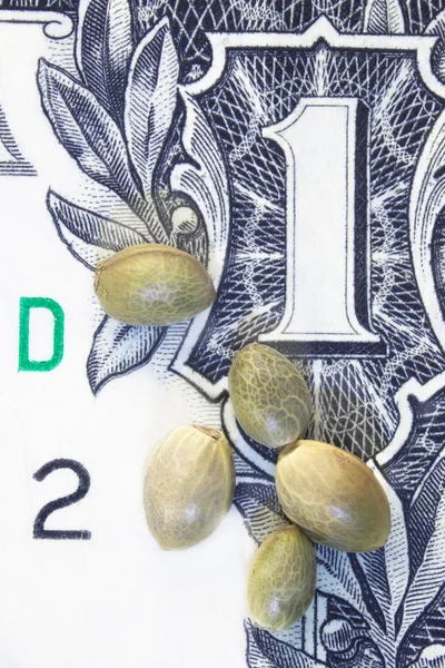 One dollar banknote's fragment and hemp seeds — Stock Photo, Image