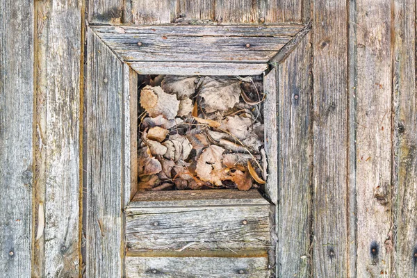 Teil einer alten Holztür mit getrockneten Blättern — Stockfoto