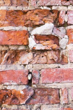 Sıkıştırılmış woodchip sayfa arka planı veya doku.