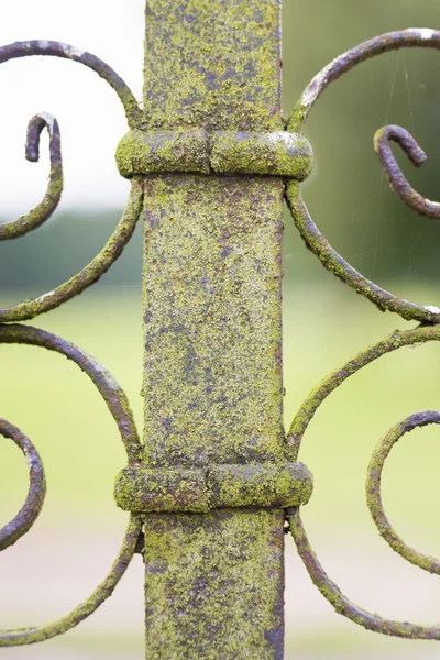 Liken kaplı metal çit