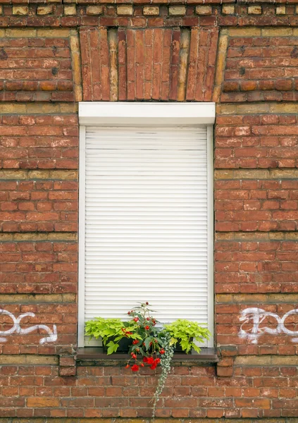 Röd tegelvägg och fönster med rullande fönsterluckor — Stockfoto